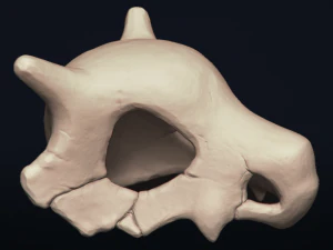 cubone skull - 3d printable model 3D Print Model