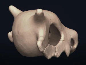 cubone skull - 3d printable model 3D Print Model