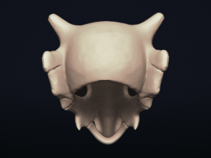 cubone skull - 3d printable model 3D 打印模型
