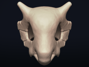 cubone skull - 3d printable model 3D 打印模型