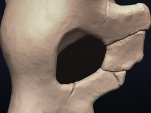 cubone skull - 3d printable model 3D 打印模型