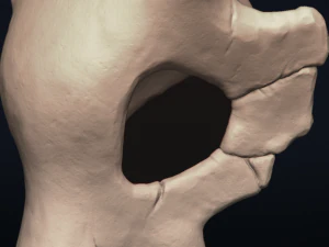 cubone skull - 3d printable model 3D Print Model