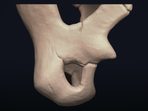 cubone skull - 3d printable model 3D 打印模型