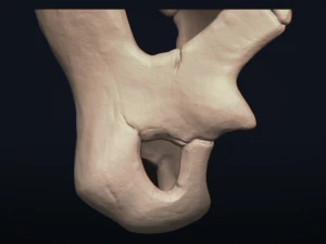 cubone skull - 3d printable model 3D Print Model