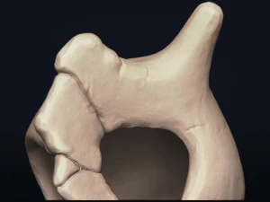 cubone skull - 3d printable model 3D Print Model