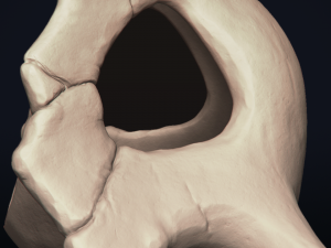 cubone skull - 3d printable model 3D 打印模型
