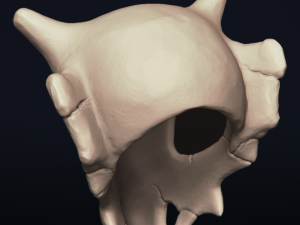 cubone skull - 3d printable model 3D 打印模型
