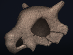 cubone skull - 3d printable model 3D 打印模型