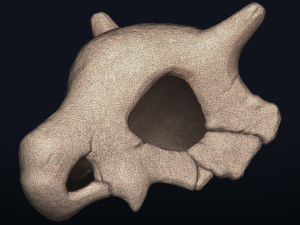cubone skull - 3d printable model 3D 打印模型