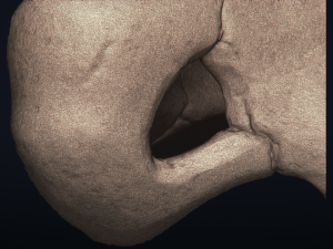 cubone skull - 3d printable model 3D 打印模型