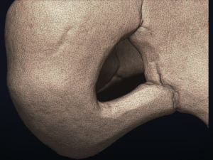 cubone skull - 3d printable model 3D 打印模型