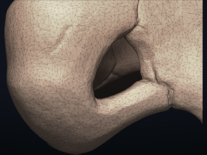 cubone skull - 3d printable model 3D 打印模型