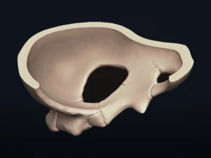 cubone skull - 3d printable model 3D Print Model