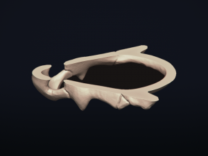 cubone skull - 3d printable model 3D 打印模型
