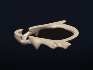 cubone skull - 3d printable model 3D Print Model