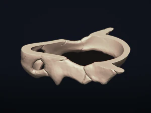 cubone skull - 3d printable model 3D Print Model