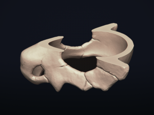 cubone skull - 3d printable model 3D 打印模型
