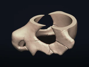 cubone skull - 3d printable model 3D Print Model