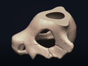 cubone skull - 3d printable model 3D Print Model