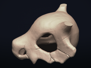 cubone skull - 3d printable model 3D 打印模型