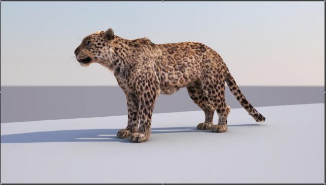 tiger 3D मॉडल .c4d .max .obj .3ds .fbx .stl .blend 
