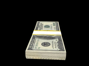 money 3D Model