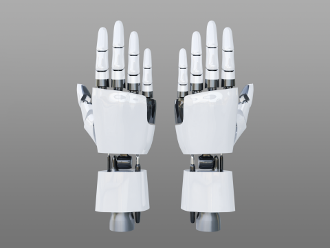Robotic Hand 3D Model