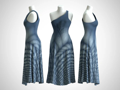 Gaun Wanita 2 Jalinan Biru Model 3D