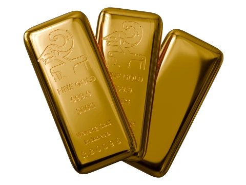 Wayang Gold 500g 3D Model