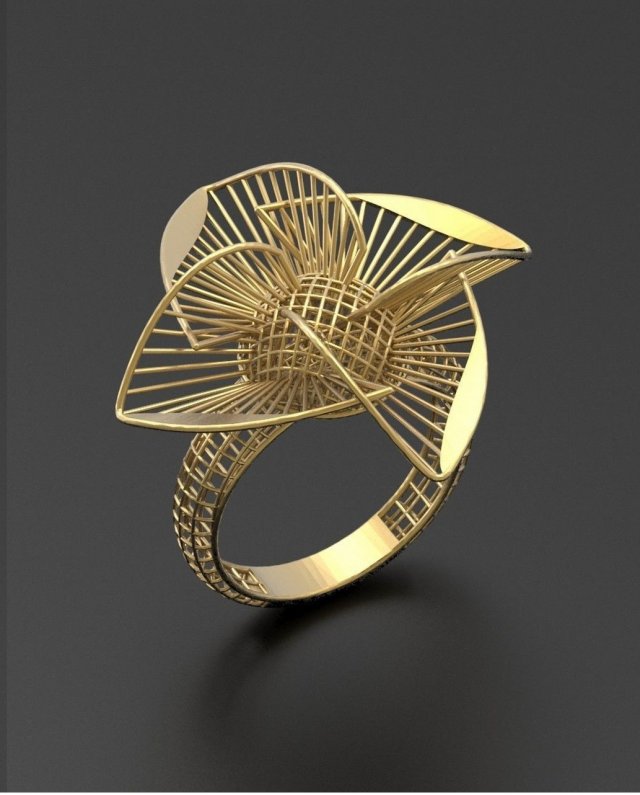 ultra vision ring 3D प्रिंट मॉडल .c4d .max .obj .3ds .fbx .stl .blend 