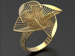 ultra vision ring 3D Print Model