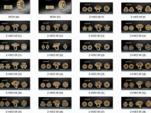 2800 files stl rings and set of noktamodel 3d print model 3D Принт Модель