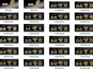 2800 files stl rings and set of noktamodel 3d print model 3D Print Model