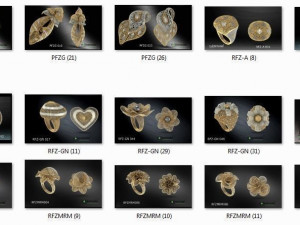 2800 files stl rings and set of noktamodel 3d print model 3D Принт Модель
