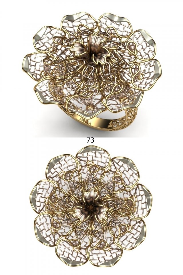beutifil ring ultra vision Modelo de Impressão 3D .c4d .max .obj .3ds .fbx .stl .blend 