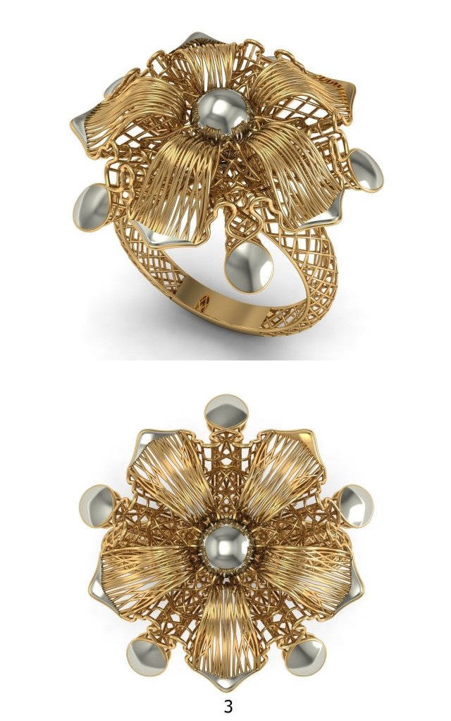 beutiful ring ultra vision 3D प्रिंट मॉडल .c4d .max .obj .3ds .fbx .stl .blend 