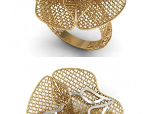 beutiful ring ultra vision 3D प्रिंट मॉडल
