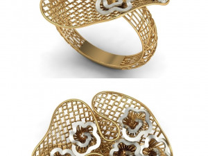 beutiful ring ultra vision 3D प्रिंट मॉडल