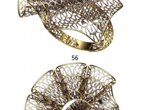 beutiful ring ultra vision 3D प्रिंट मॉडल