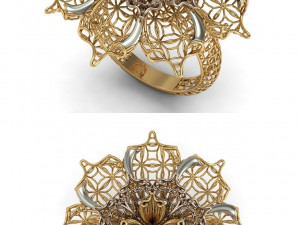 beutiful ring ultra vision 3D प्रिंट मॉडल