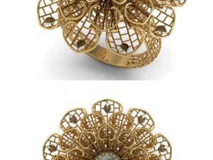beutiful ring ultra vision 3D Print Model