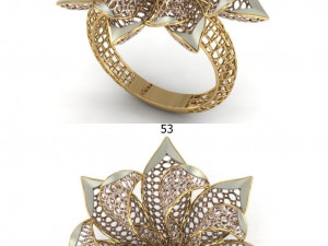 beutiful ring ultra vision 3D प्रिंट मॉडल
