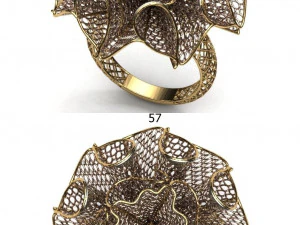 beutiful ring ultra vision 3D Print Model