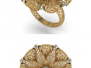 beutiful ring ultra vision 3D Print Model