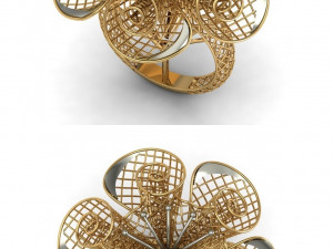 beutiful ring ultra vision 3D प्रिंट मॉडल