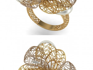 beutiful ring ultra vision 3D प्रिंट मॉडल
