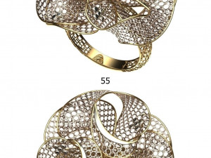 beutiful ring ultra vision 3D प्रिंट मॉडल