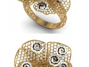 beutiful ring ultra vision 3D प्रिंट मॉडल