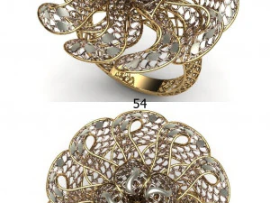 beutiful ring ultra vision 3D Print Model