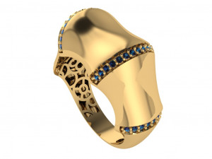 Ring 3D Model